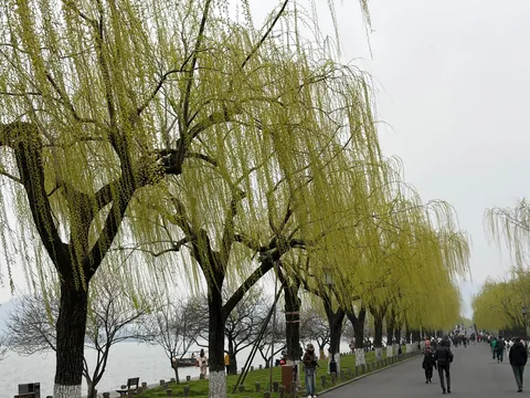 China in Pictures
