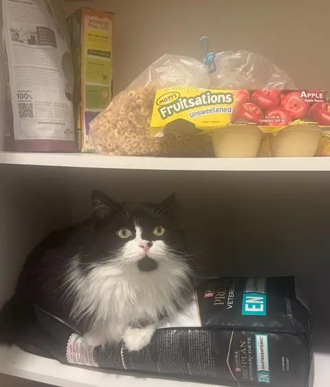 was seriously wondering where he was.