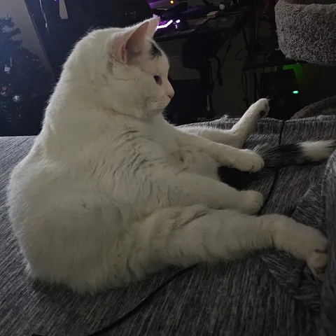 What is Issac thinking 