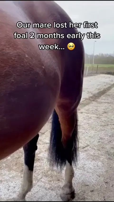 They needed each other