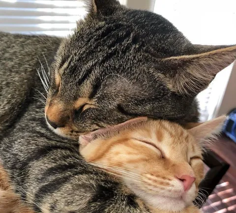 She is all mine😅😍