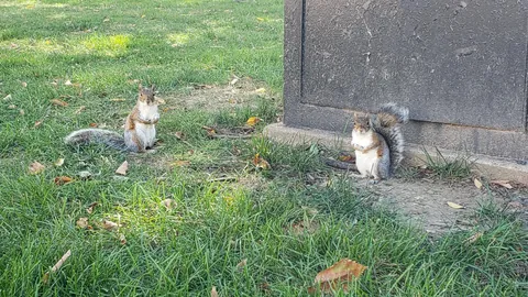 A trip to Washington D.C. during shutdown and thoughts of a European about the US capital