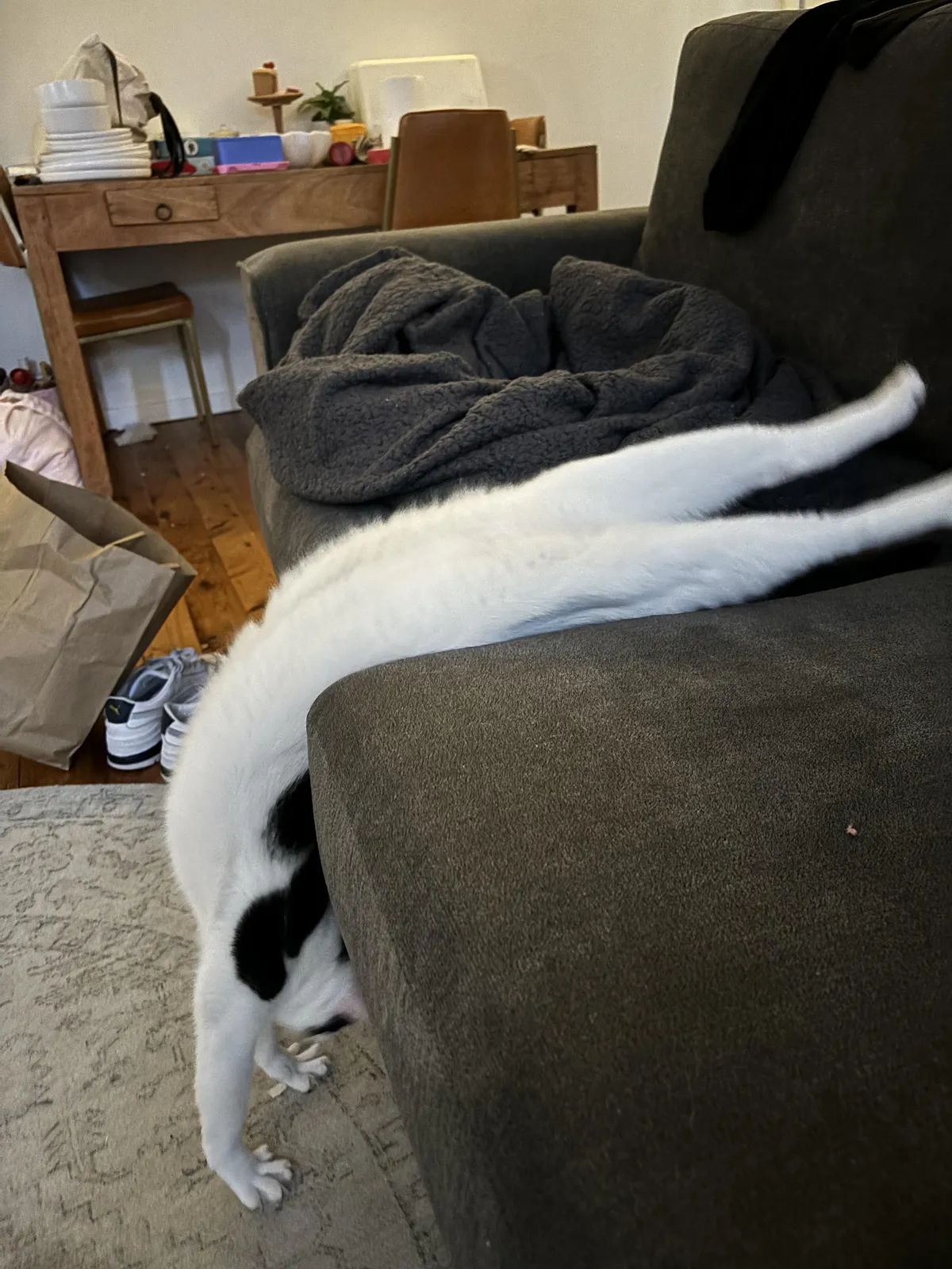 this is his favourite way to stretch 
