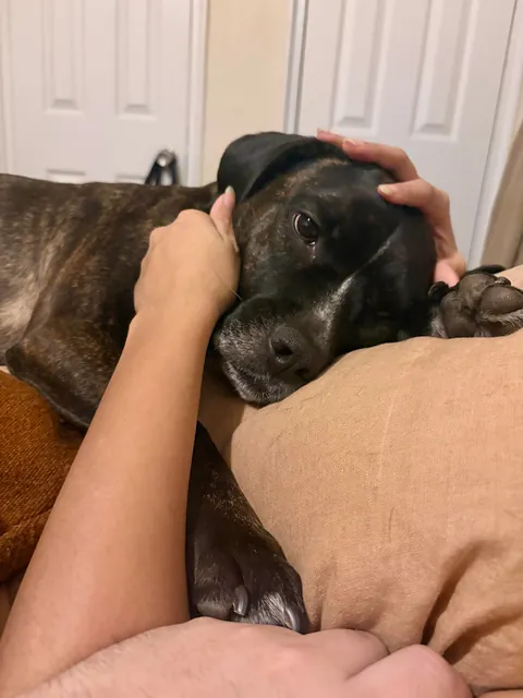 Why is she so perfect????? Cute lil baby