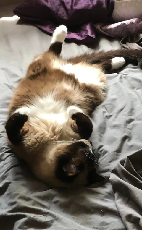 My old man enjoying the sunshine.