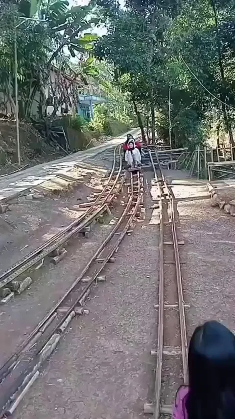 village's communal roller coaster