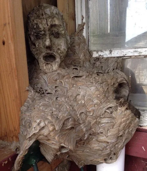 PsBattle: Hornets nest fused with statue of human head