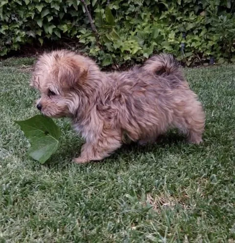 Here's my kinda old guy, before and after