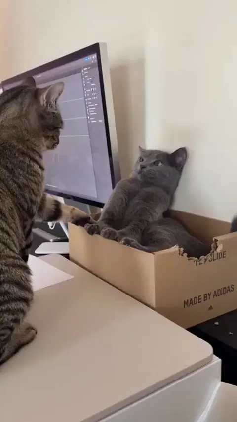 “dude get out it’s my turn”