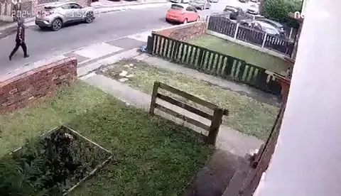 Crack Gives You Wings