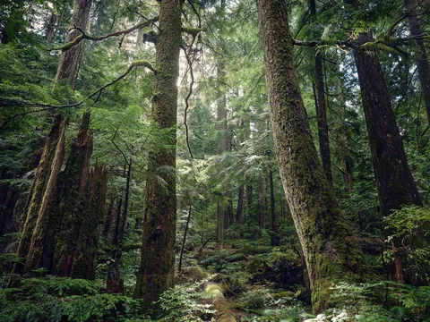 Vancouver's north shore escape ... BC , Canada (1900x1425)(OC)
