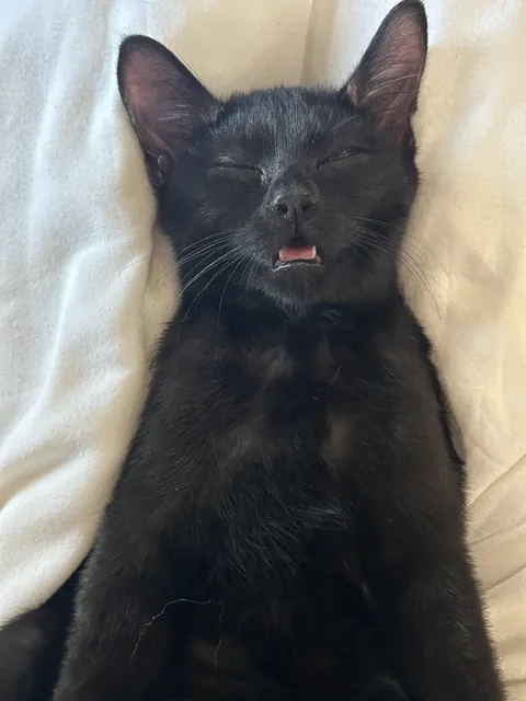 My little guy gets cracked out from tummy rubs