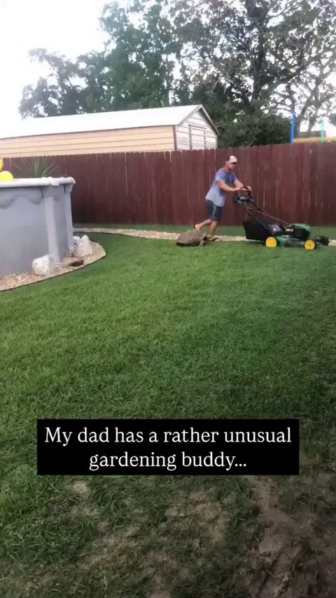 Dad has the BEST gardening buddy! 🐢 -- Angelika Creppel