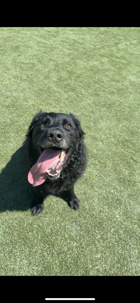 My son Zuko and his long ass tongue