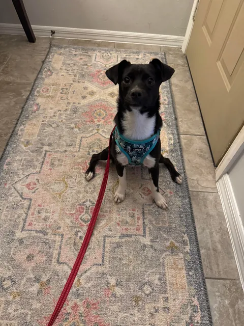 She’s just a bebe 🖤