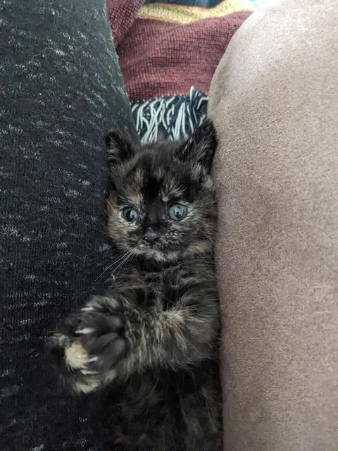 Update #2 - Elsa the ice princess is a celebrity!