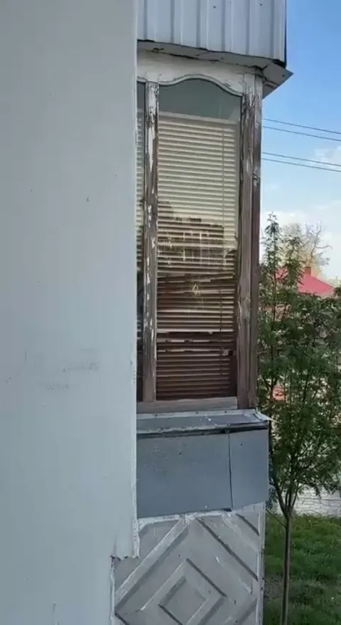 The beady-eyed neighbor