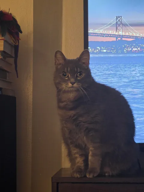 Update on my not new daughter, yes her eyes are still just like that.