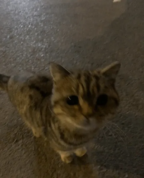 I went back and met this cutie again, welcome to my family~