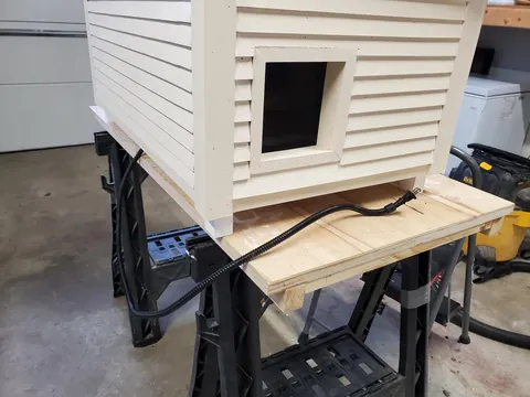 Upgrade for the neighborhood stray