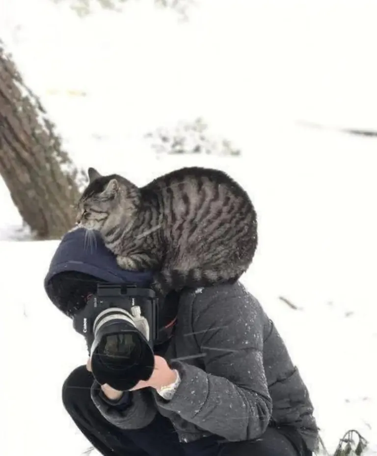 Assistant photographer