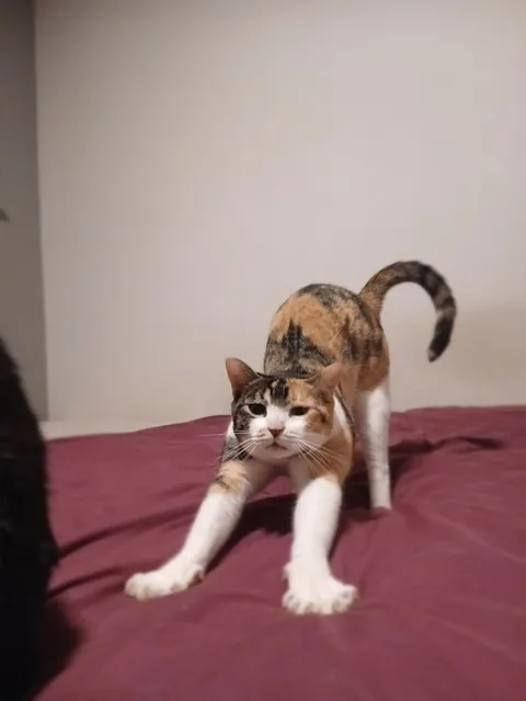 She's just gone. Just like that. Gone.