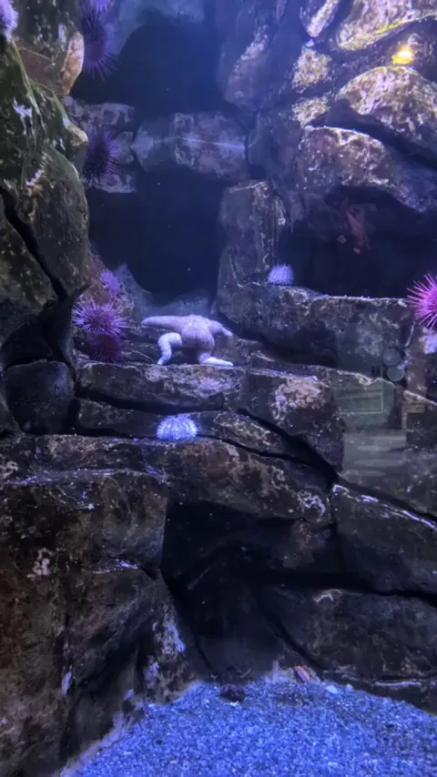 Patrick got tired that day