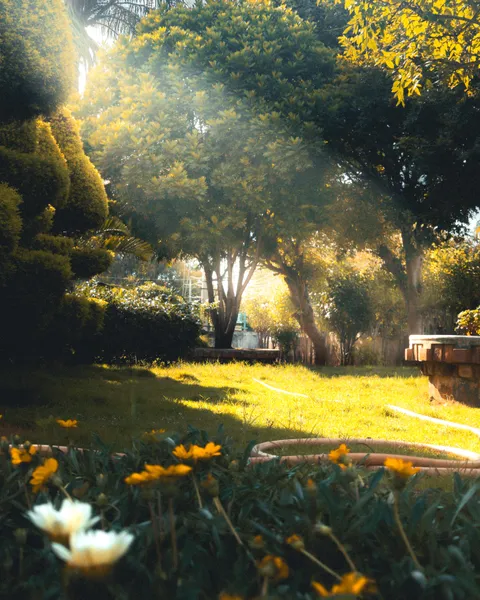 This tree looked extremely beautiful so had to take a picture what do we think?