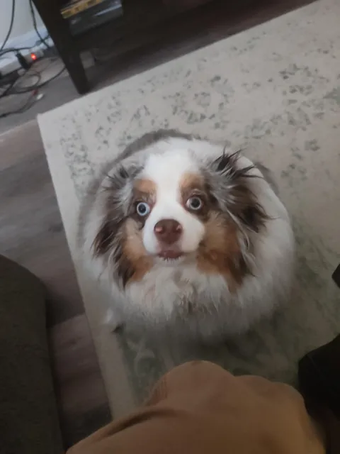 Her name is actually Derpy. For good reason