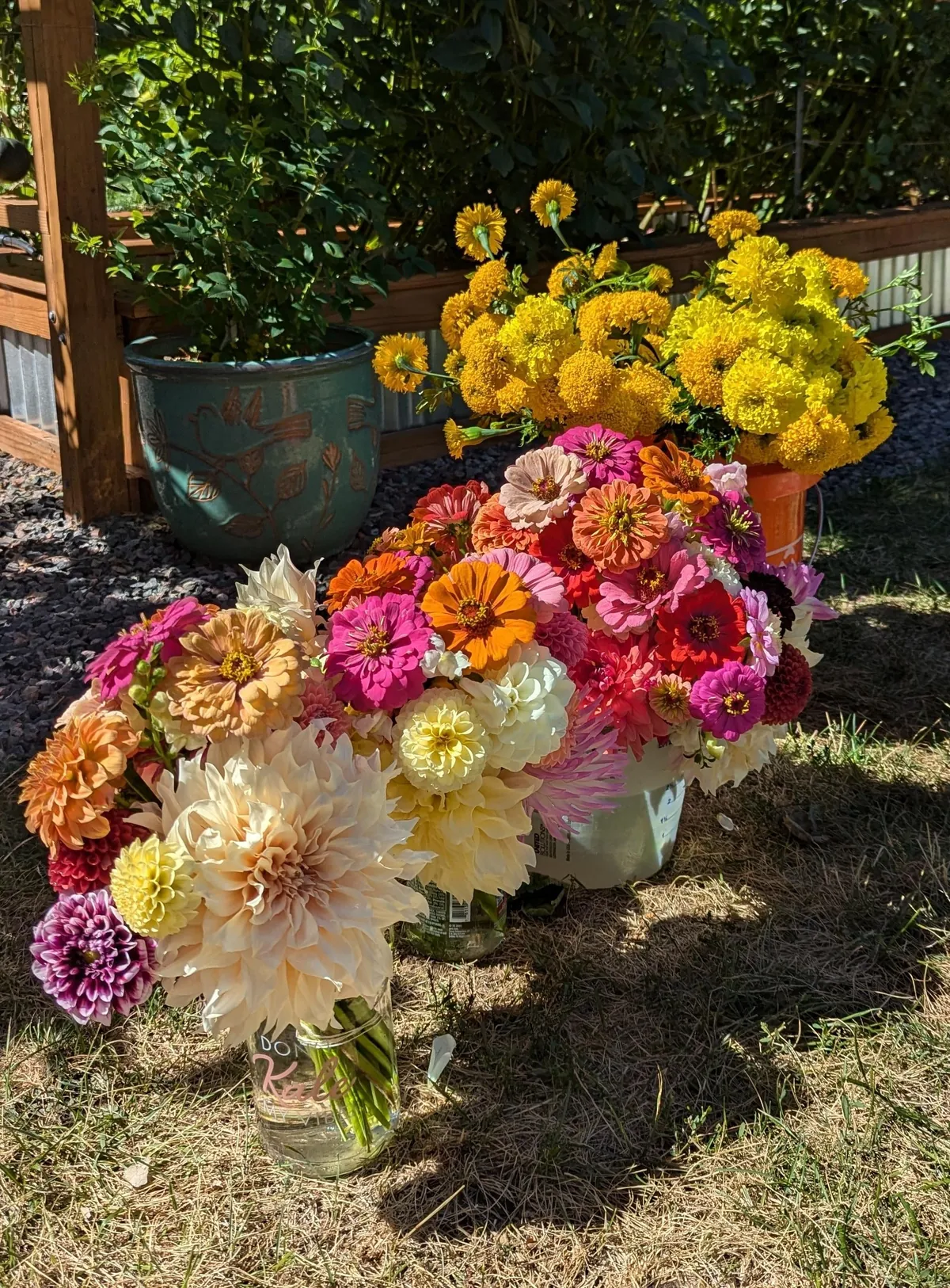 Three years ago I replaced my lawn with garden beds to cope with chronic illness and depression. What started as a hobby has grown into a small flower farm and a brighter chapter in my life.