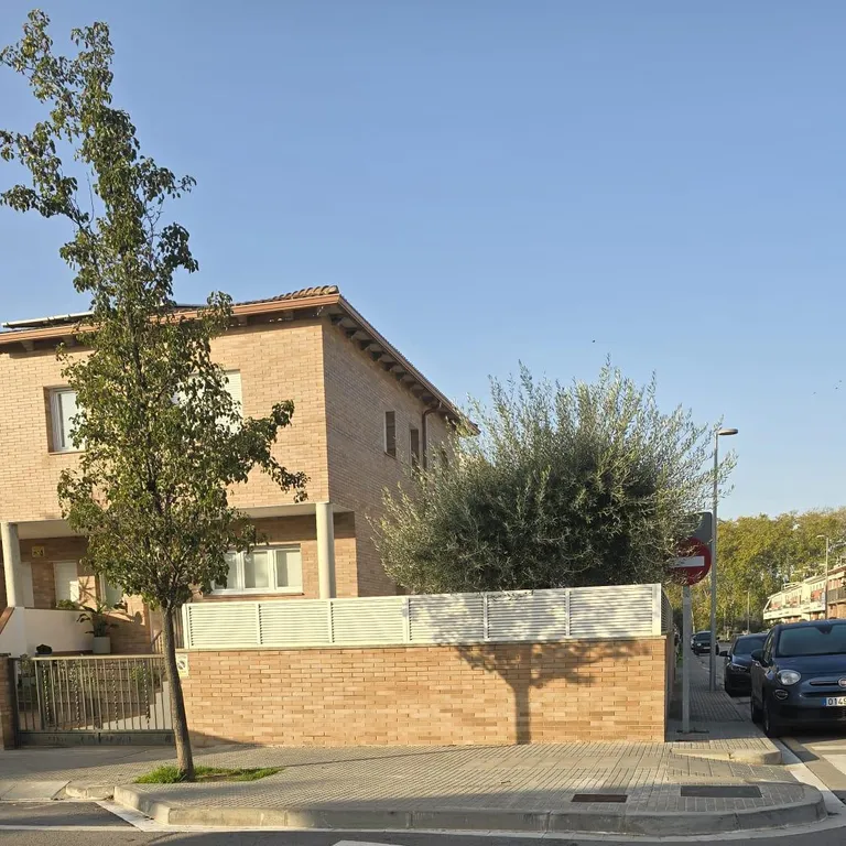 My mom took this pic of a tree's shadow blending perfectly with another one, thought I'd share it with y'all