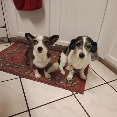 Our newest tenants.