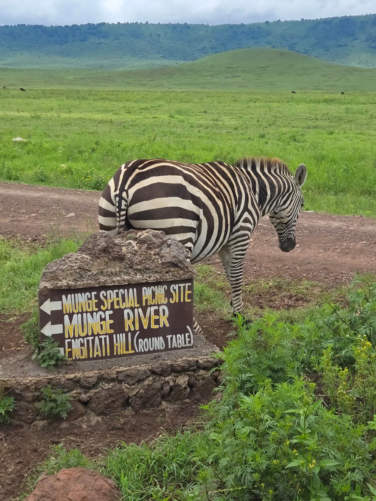 The Beauty of Tanzania