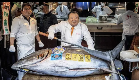 Yesterday, the most expensive tuna of all time was auctioned in Japan, 535 lbs for about 3,280,000 dollars, never before has such a high price been achieved