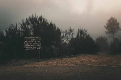 Algunos días en galicia. Non creo que haxa unha comunidade máis fermosa na terra.