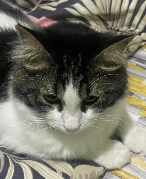 What I asked for vs what I got