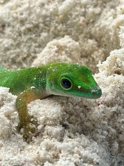 One Week on Praslin, Seychelles 🇸🇨