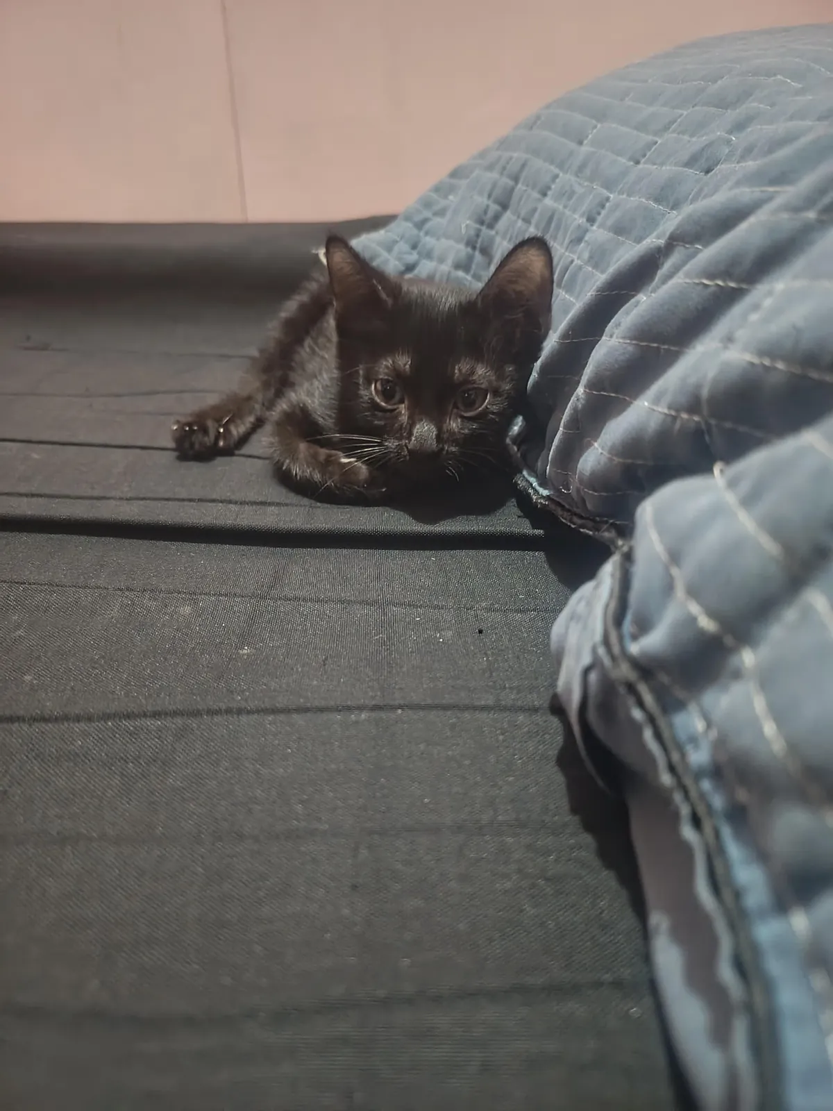 I just wanna flex my new baby