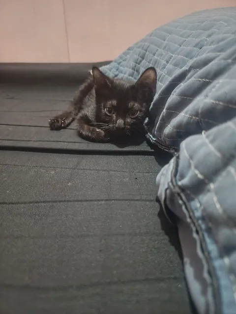 I just wanna flex my new baby