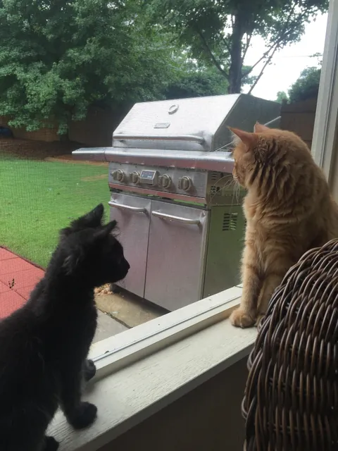 From gotcha to goodbye