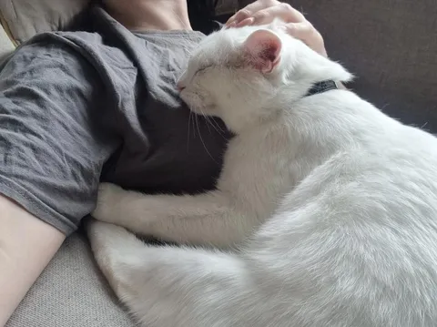 First cuddle after being rescued