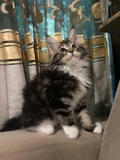 He's always staring at me