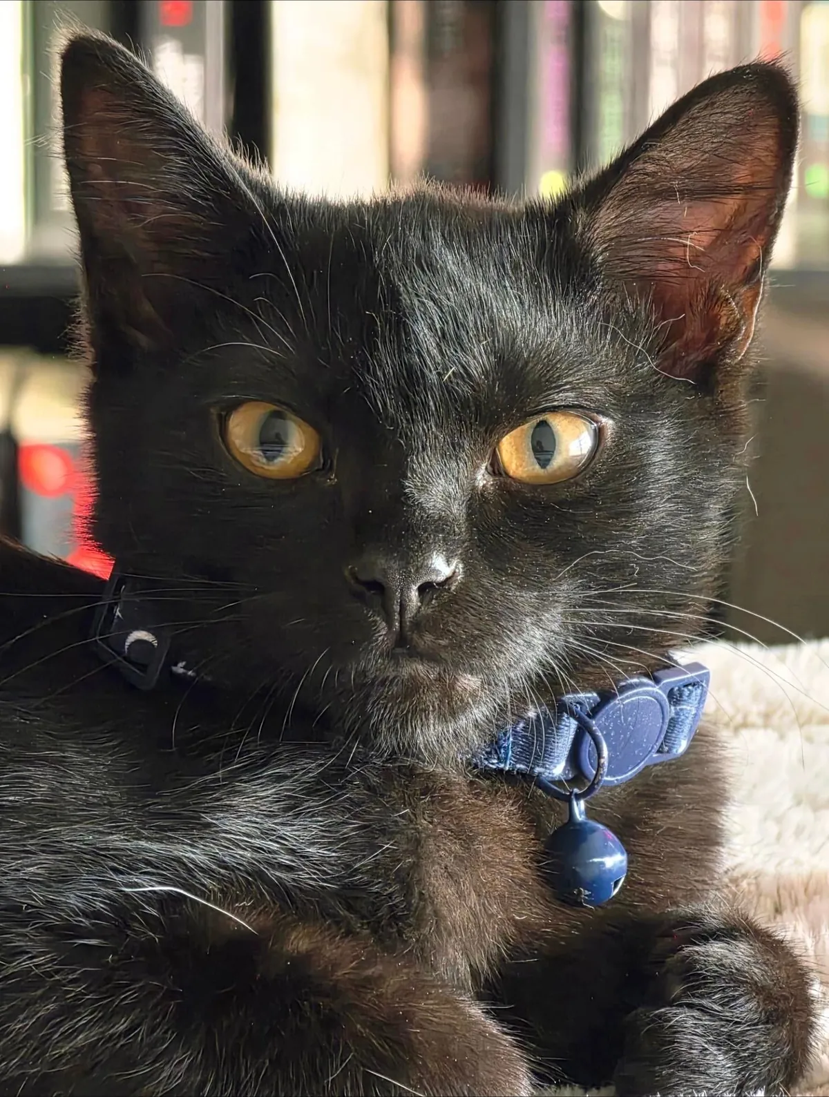 This is Oswald, my first void 🖤 I adore him and just wanted to share him with y'all