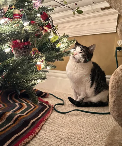 She held on for her 20th Christmas before letting go