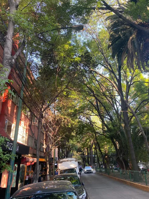 Mexico City had the Lushest, Greenest, Most Beautiful Neighborhoods I've Ever Seen
