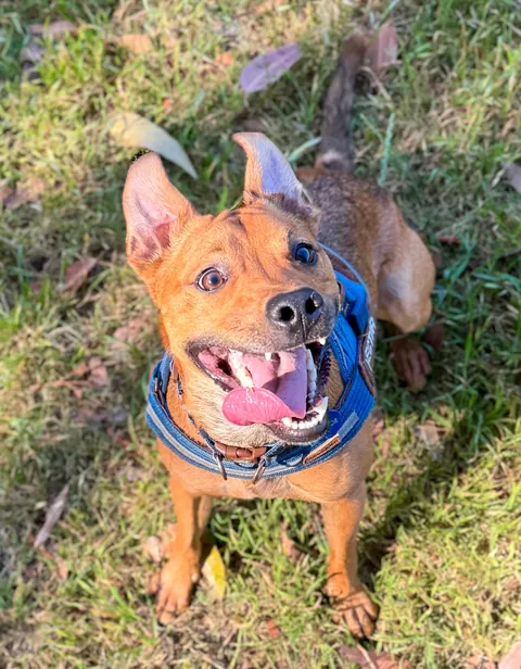 Hector through the years. Which is your favourite photo