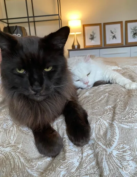 My Void with his Cloud 