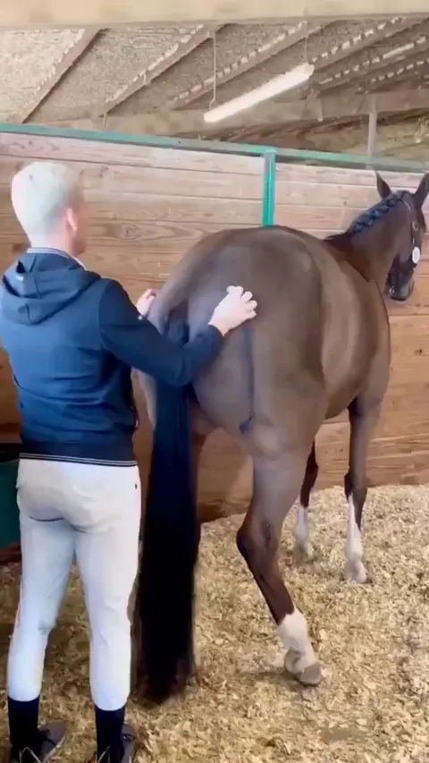 Don't just stop scratching