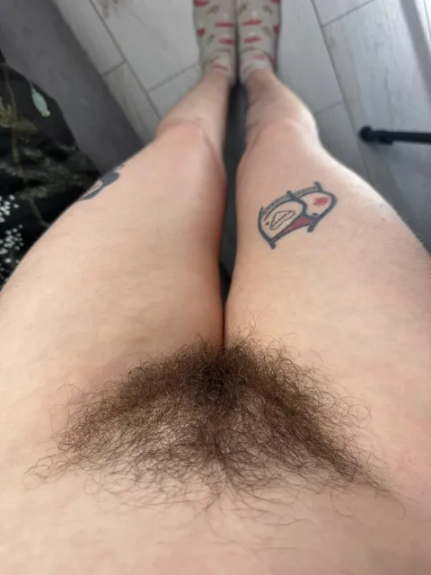 My view is the sexiest