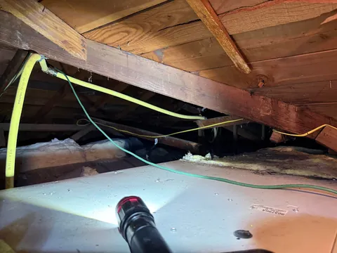 Was checking the attic after we had a leak from a rainstorm, I turn my head to see this…. how screwed am I?